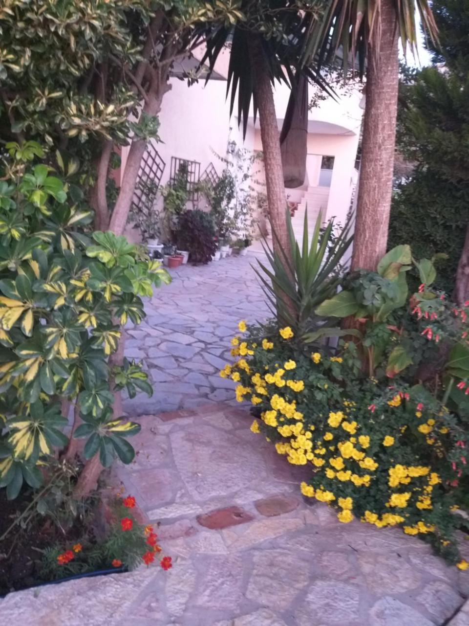 Guesthouse Villa Joanna&Mattheo Sarande Exterior photo